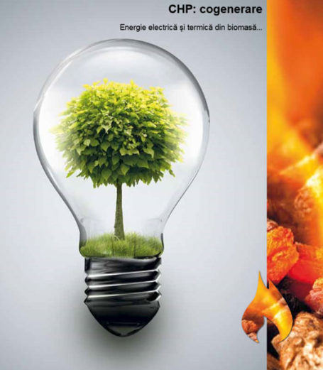 info home - herz bioenergie